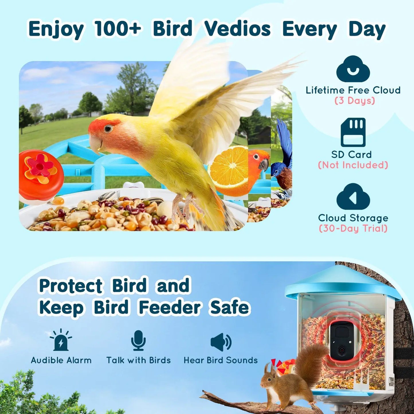 Solar-Powered Smart Bird Feeder with AI Camera Identifies 10000+ Bird Species