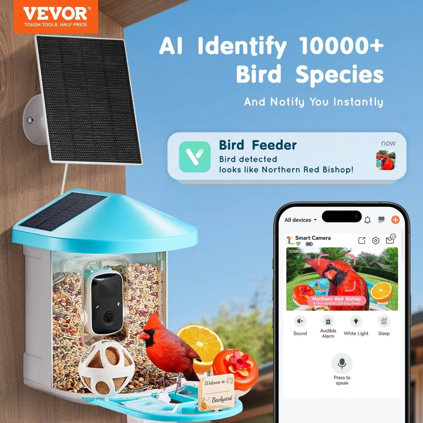 Solar-Powered Smart Bird Feeder with AI Camera Identifies 10000+ Bird Species