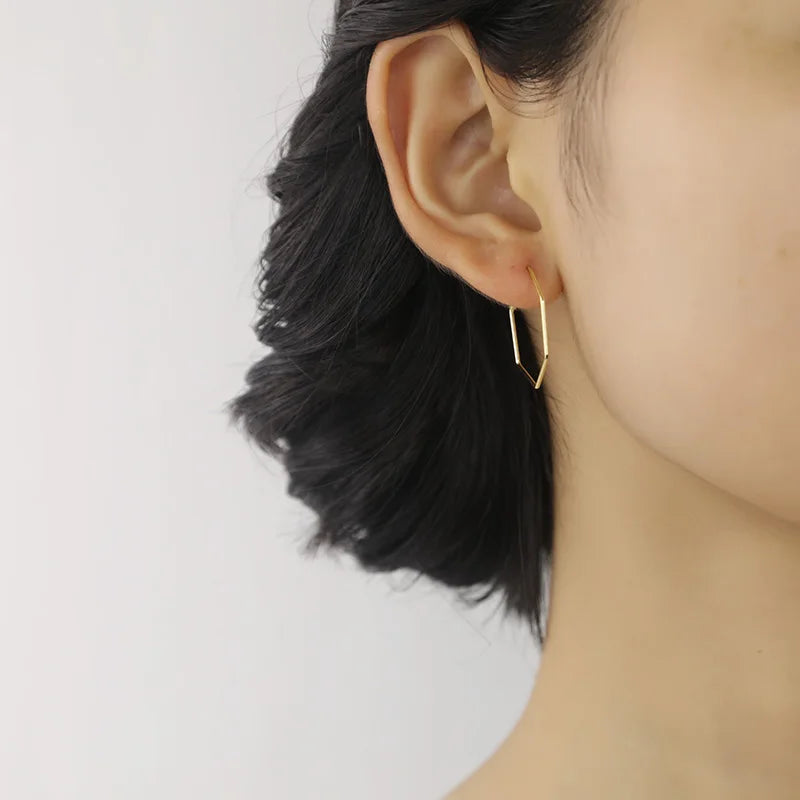 Trustdavis Newest 925 Sterling Silver Women's Jewelry Fashion Cute Hexagon Hoop Earrings For Fine Silver 925 Earring Gift DS133